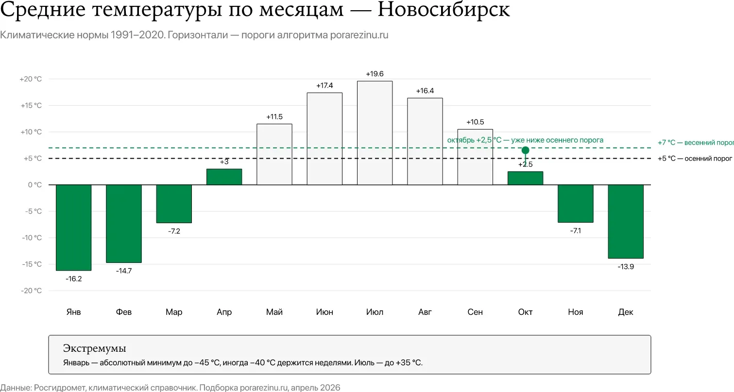 Средние температуры по месяцам в Новосибирске — октябрь +2,5 °C, январь −16 °C, пороги +5 и +7 °C